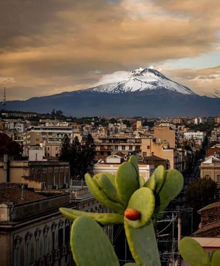 Catania Apartment Borgo Suite Autonomous エクステリア 写真